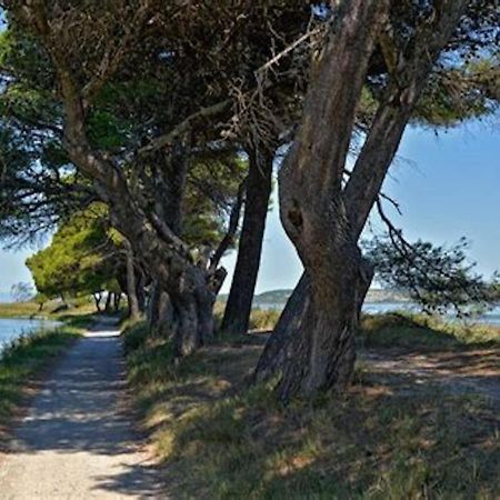 Agreable Maison De Famille Sur Gite Echarou Sigean Eksteriør bilde