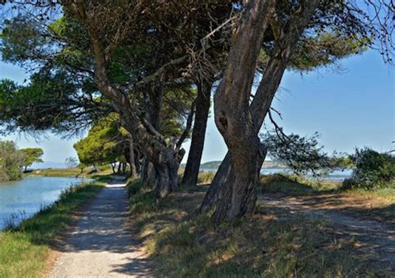Agreable Maison De Famille Sur Gite Echarou Sigean Eksteriør bilde